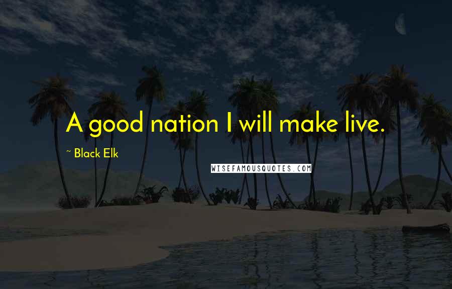Black Elk Quotes: A good nation I will make live.