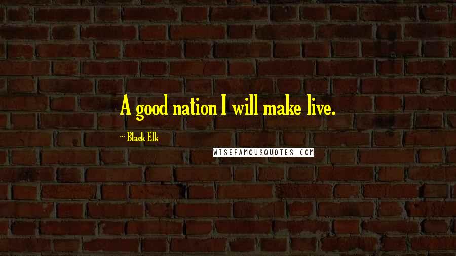 Black Elk Quotes: A good nation I will make live.