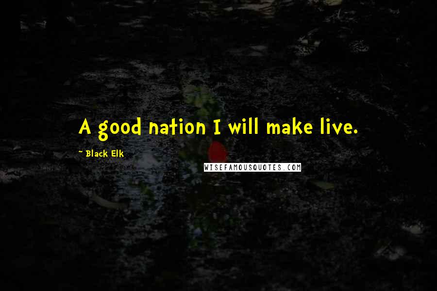Black Elk Quotes: A good nation I will make live.