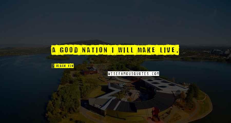 Black Elk Quotes: A good nation I will make live.