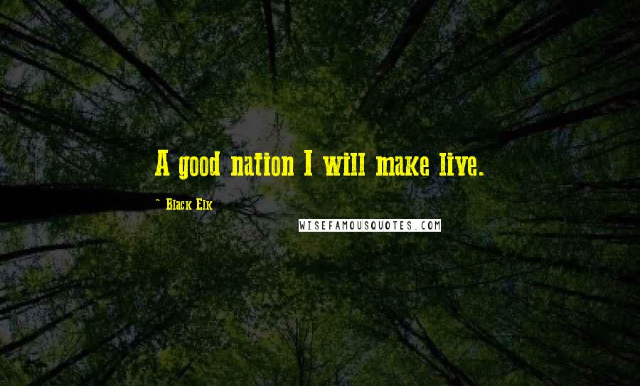 Black Elk Quotes: A good nation I will make live.