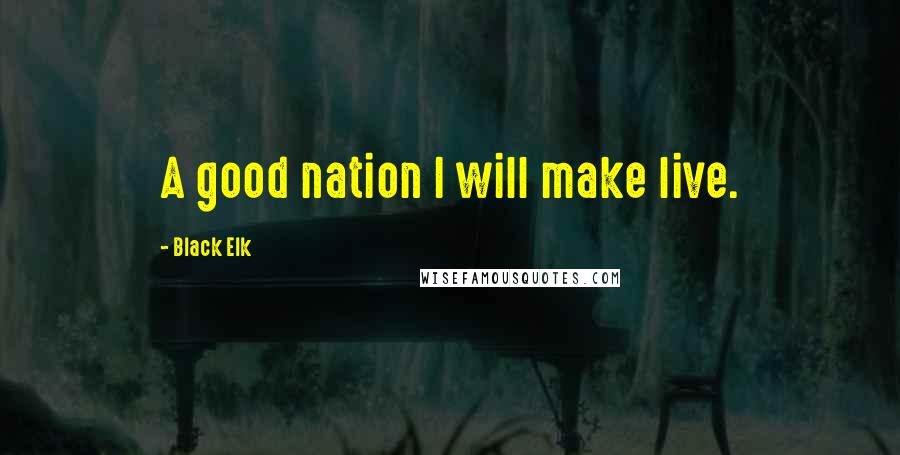 Black Elk Quotes: A good nation I will make live.