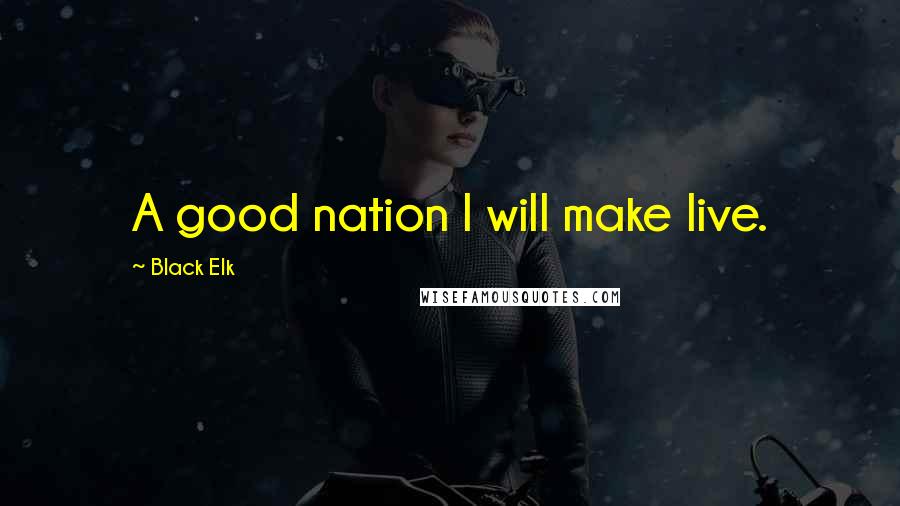 Black Elk Quotes: A good nation I will make live.