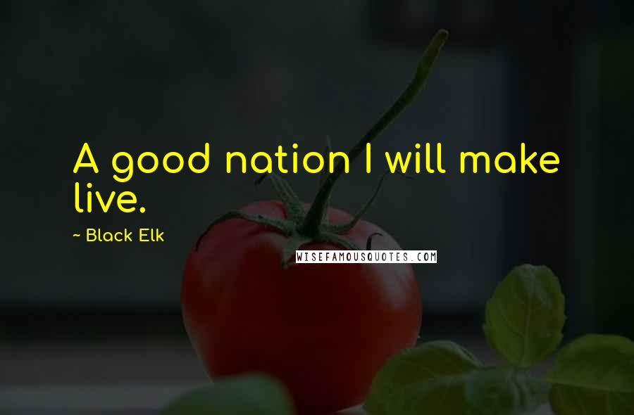 Black Elk Quotes: A good nation I will make live.