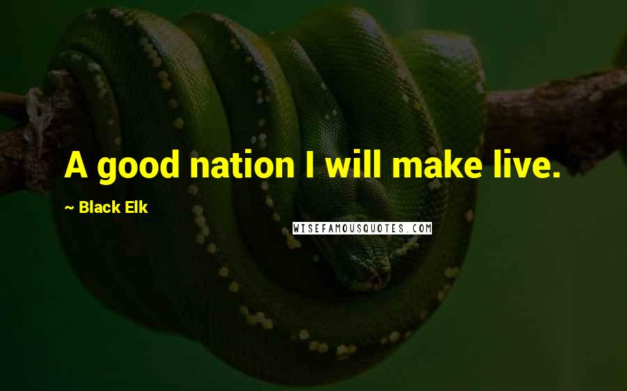 Black Elk Quotes: A good nation I will make live.