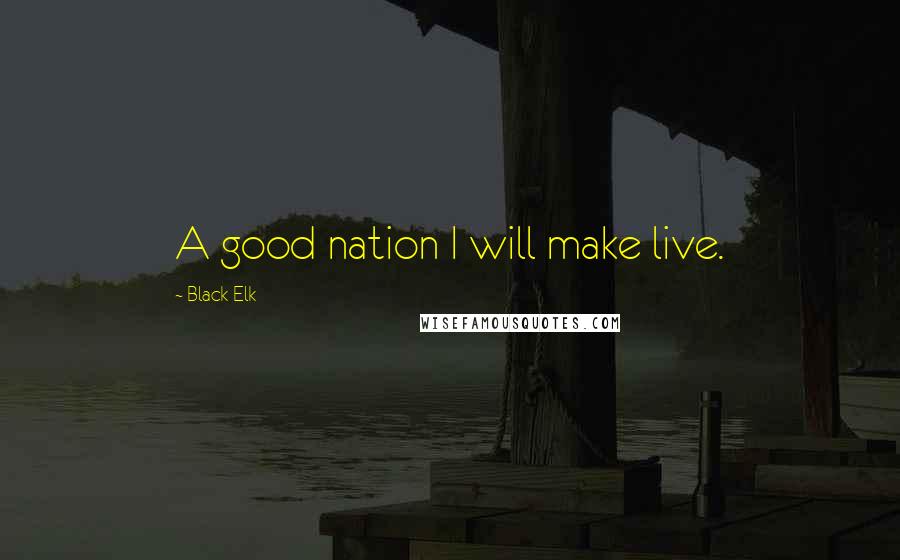 Black Elk Quotes: A good nation I will make live.