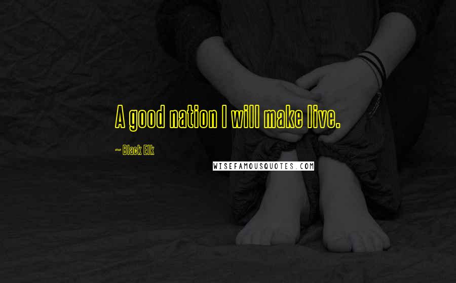 Black Elk Quotes: A good nation I will make live.