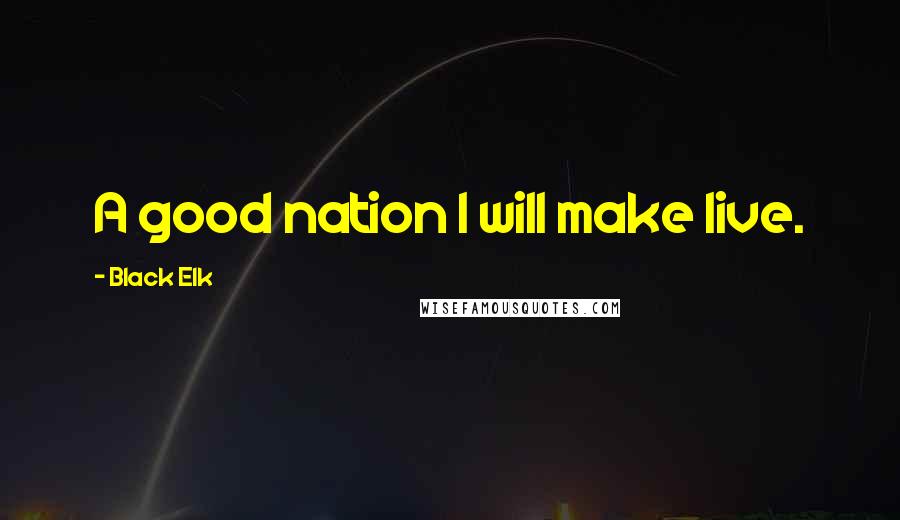 Black Elk Quotes: A good nation I will make live.