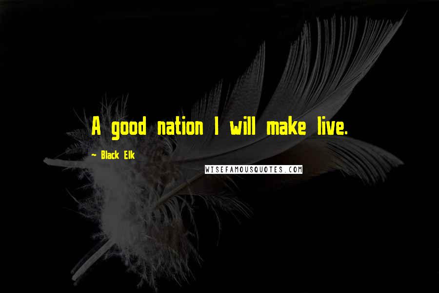 Black Elk Quotes: A good nation I will make live.