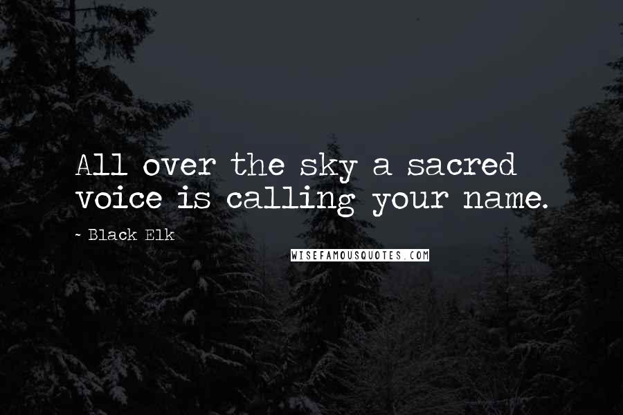Black Elk Quotes: All over the sky a sacred voice is calling your name.