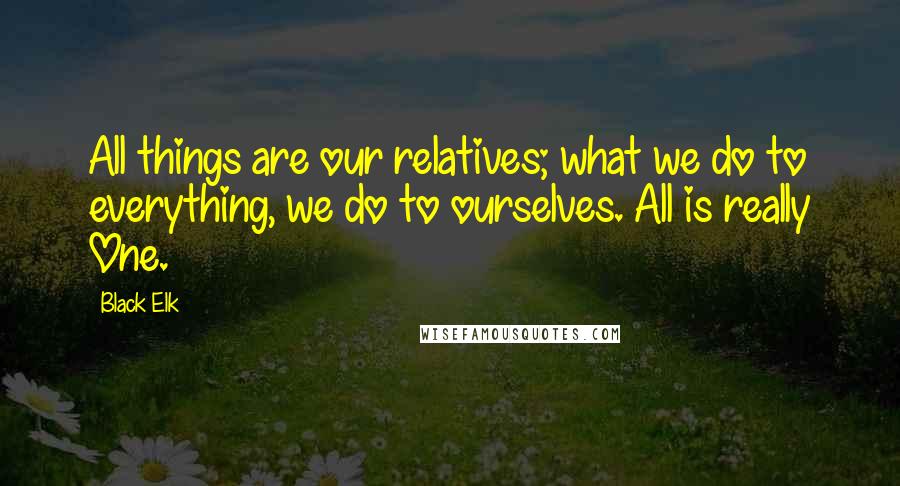 Black Elk Quotes: All things are our relatives; what we do to everything, we do to ourselves. All is really One.