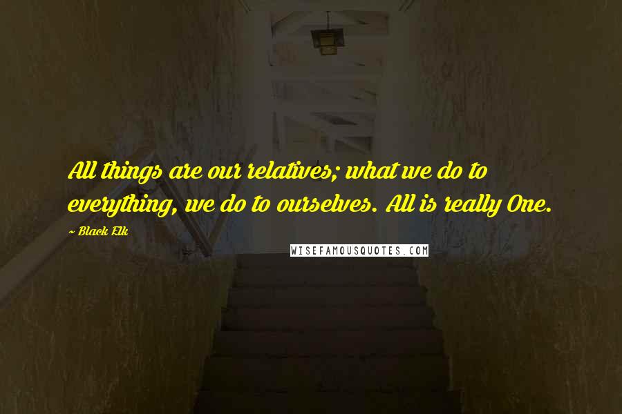 Black Elk Quotes: All things are our relatives; what we do to everything, we do to ourselves. All is really One.