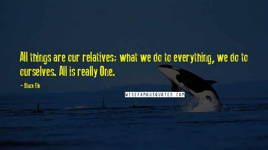 Black Elk Quotes: All things are our relatives; what we do to everything, we do to ourselves. All is really One.