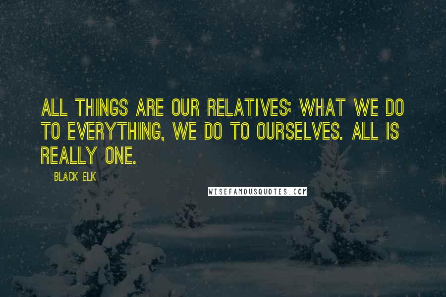 Black Elk Quotes: All things are our relatives; what we do to everything, we do to ourselves. All is really One.