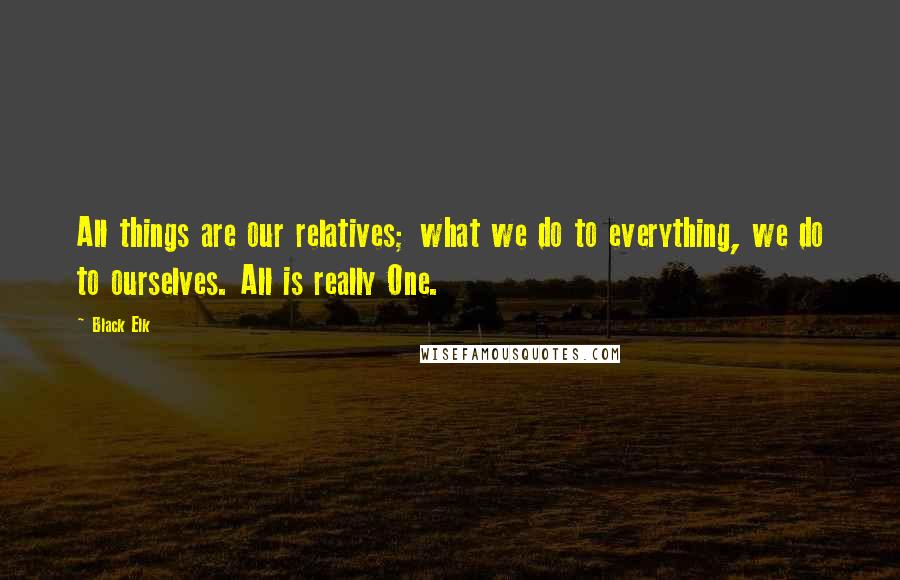 Black Elk Quotes: All things are our relatives; what we do to everything, we do to ourselves. All is really One.