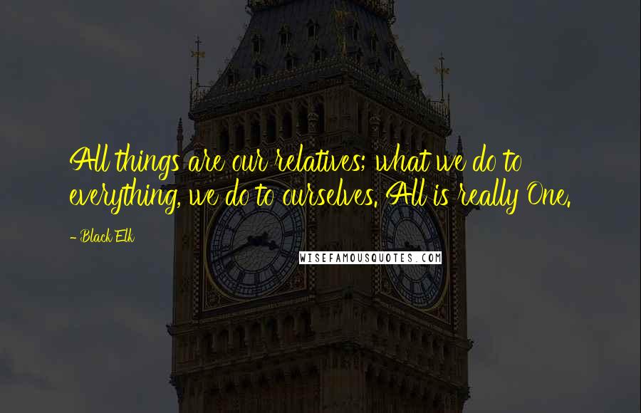 Black Elk Quotes: All things are our relatives; what we do to everything, we do to ourselves. All is really One.