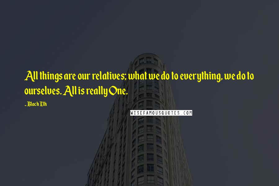 Black Elk Quotes: All things are our relatives; what we do to everything, we do to ourselves. All is really One.