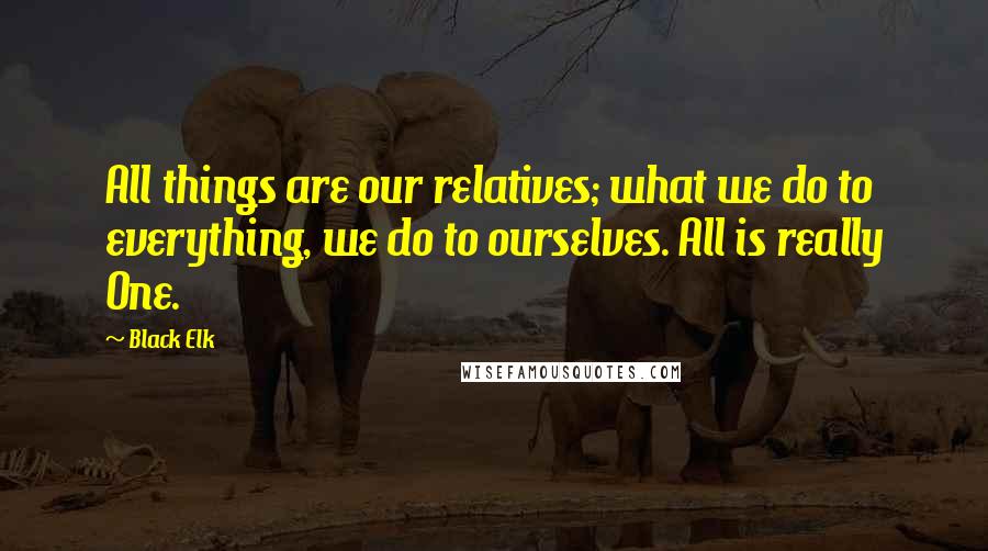 Black Elk Quotes: All things are our relatives; what we do to everything, we do to ourselves. All is really One.