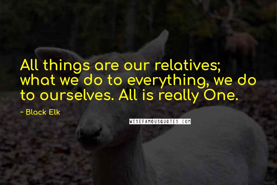 Black Elk Quotes: All things are our relatives; what we do to everything, we do to ourselves. All is really One.