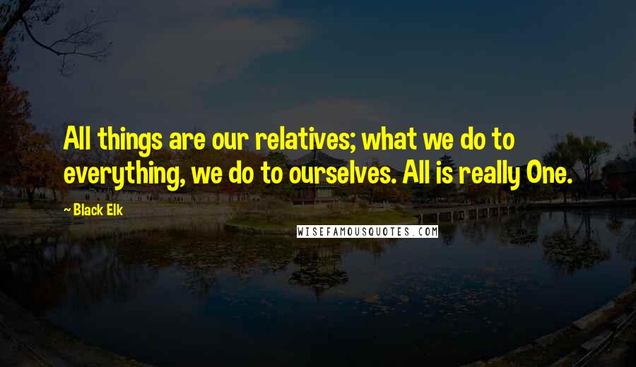 Black Elk Quotes: All things are our relatives; what we do to everything, we do to ourselves. All is really One.