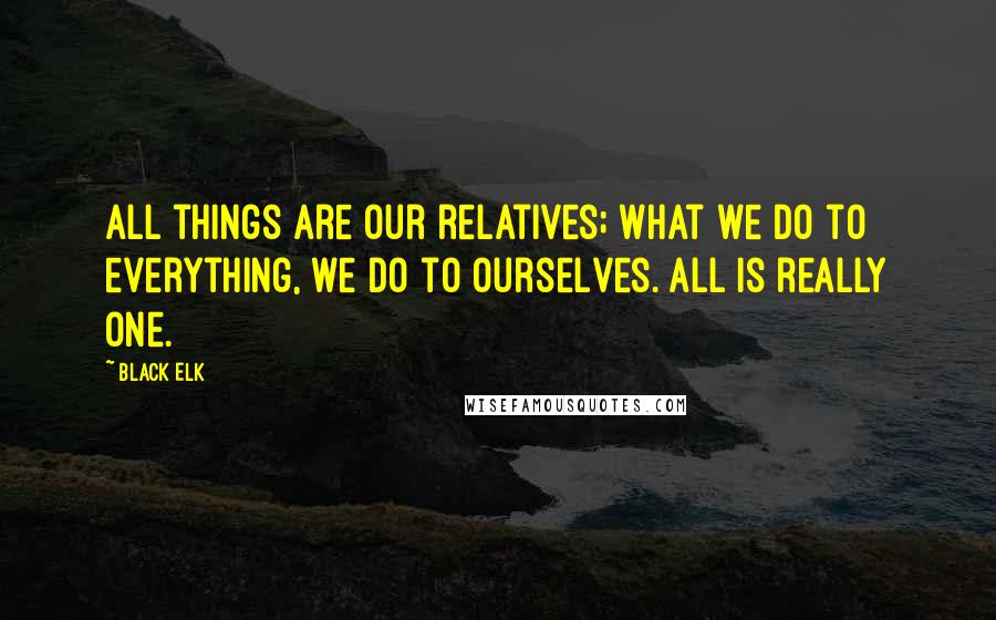 Black Elk Quotes: All things are our relatives; what we do to everything, we do to ourselves. All is really One.