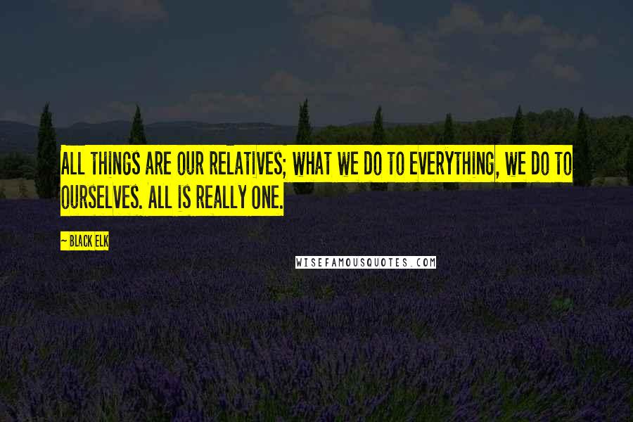 Black Elk Quotes: All things are our relatives; what we do to everything, we do to ourselves. All is really One.