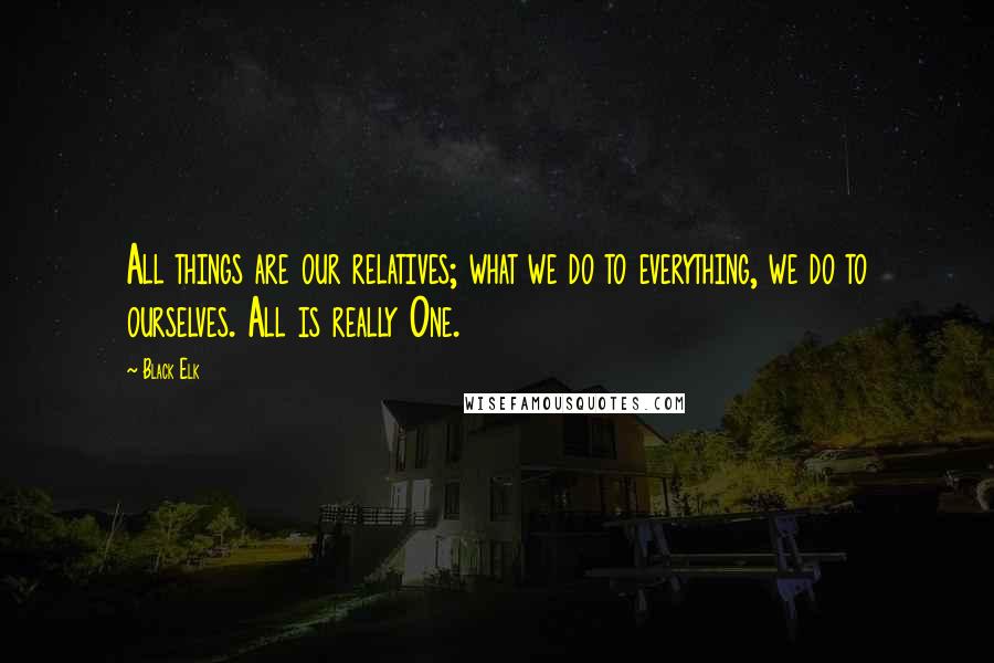 Black Elk Quotes: All things are our relatives; what we do to everything, we do to ourselves. All is really One.