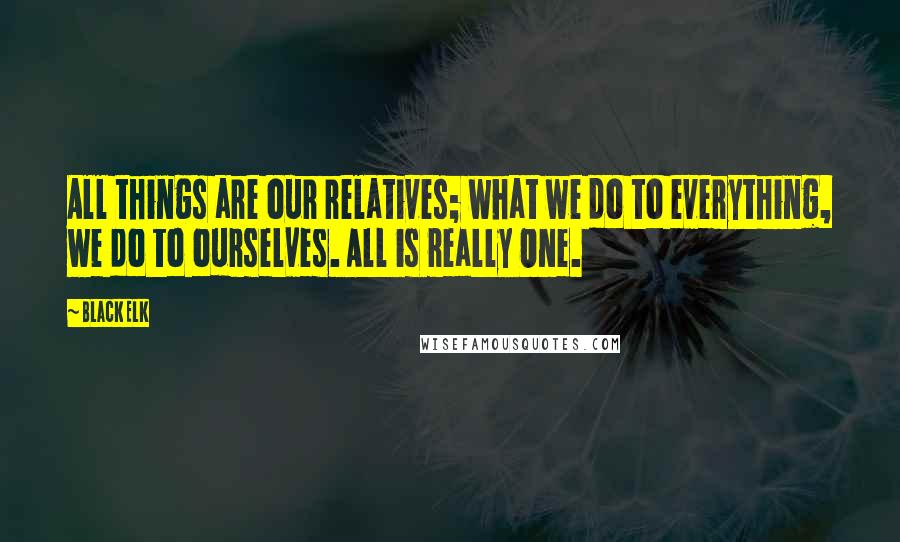 Black Elk Quotes: All things are our relatives; what we do to everything, we do to ourselves. All is really One.