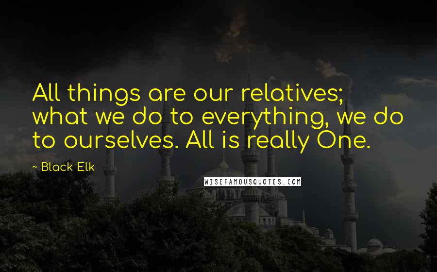 Black Elk Quotes: All things are our relatives; what we do to everything, we do to ourselves. All is really One.