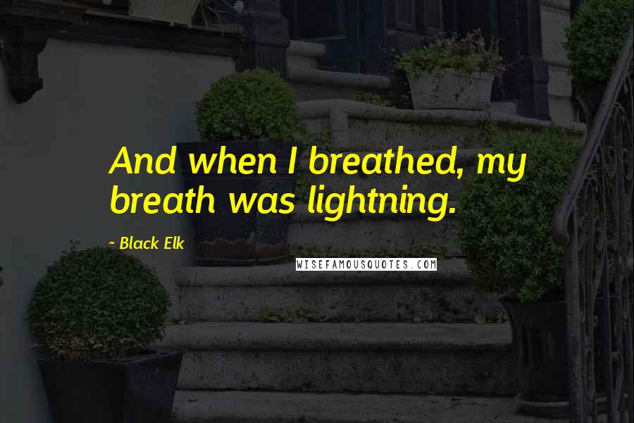 Black Elk Quotes: And when I breathed, my breath was lightning.