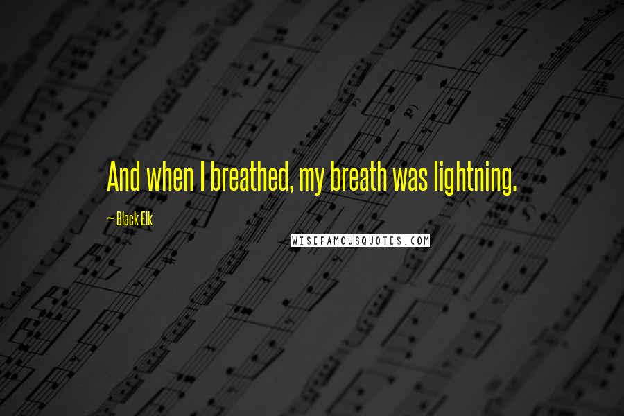 Black Elk Quotes: And when I breathed, my breath was lightning.