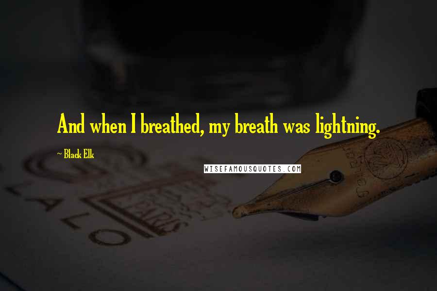 Black Elk Quotes: And when I breathed, my breath was lightning.