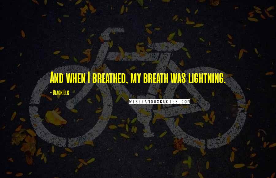 Black Elk Quotes: And when I breathed, my breath was lightning.