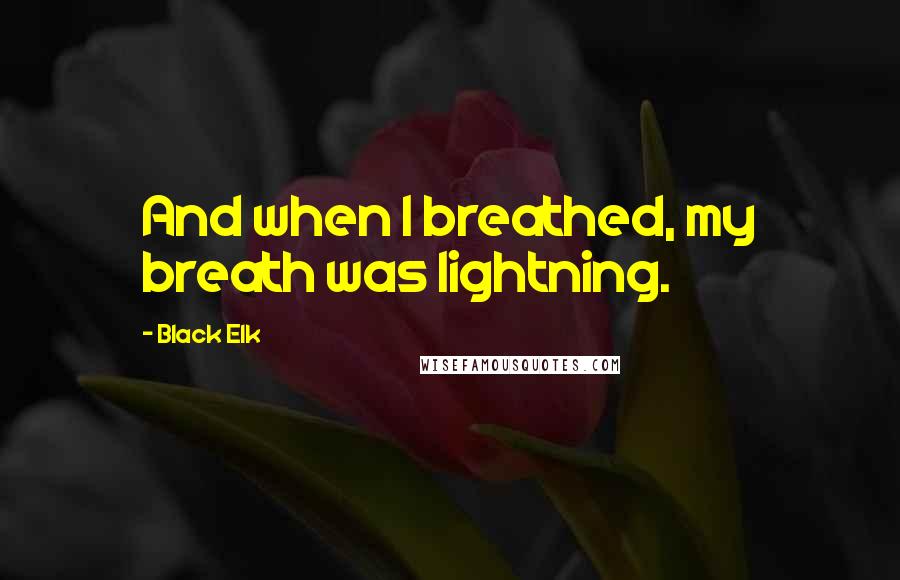 Black Elk Quotes: And when I breathed, my breath was lightning.