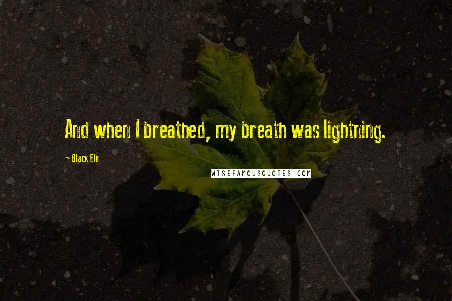 Black Elk Quotes: And when I breathed, my breath was lightning.