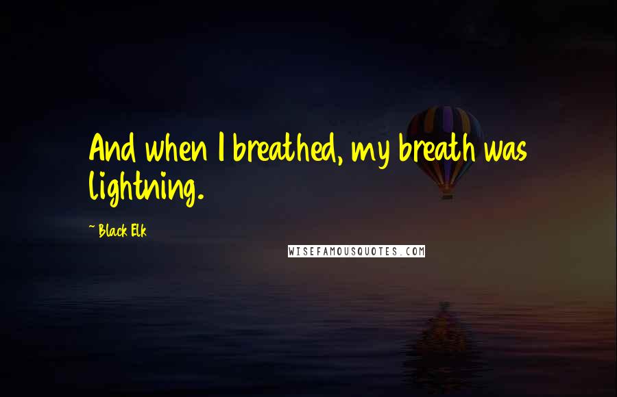 Black Elk Quotes: And when I breathed, my breath was lightning.