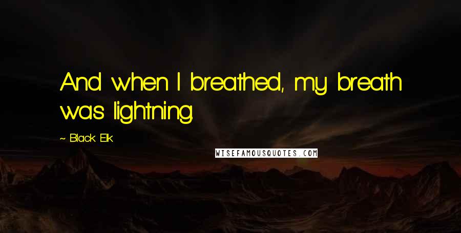 Black Elk Quotes: And when I breathed, my breath was lightning.