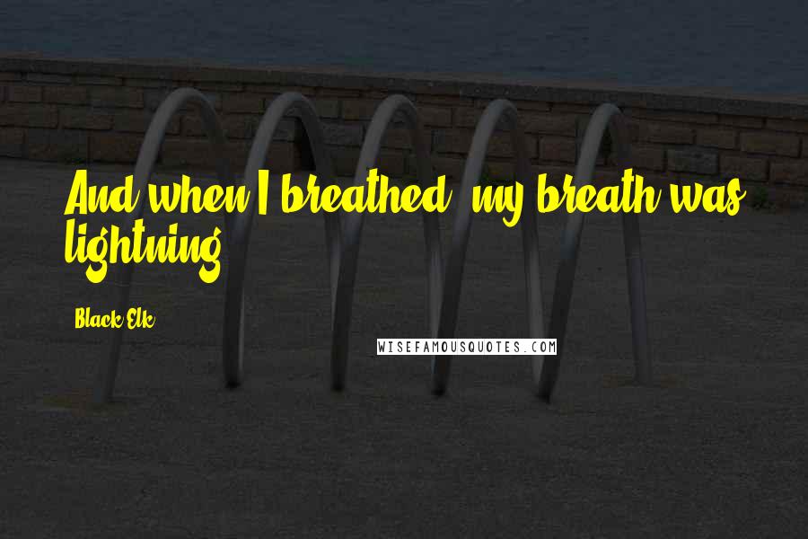 Black Elk Quotes: And when I breathed, my breath was lightning.