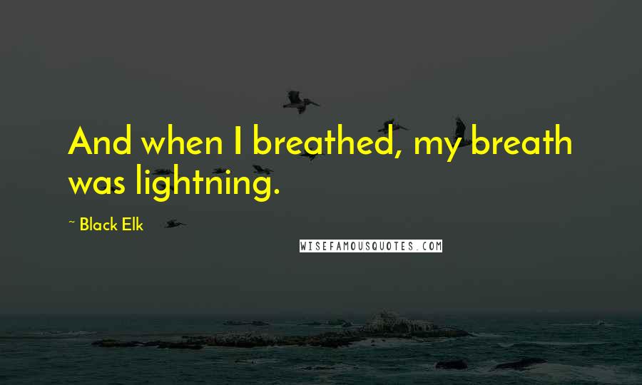 Black Elk Quotes: And when I breathed, my breath was lightning.