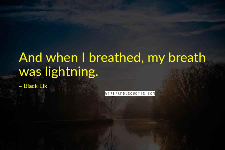Black Elk Quotes: And when I breathed, my breath was lightning.