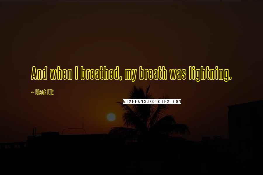 Black Elk Quotes: And when I breathed, my breath was lightning.