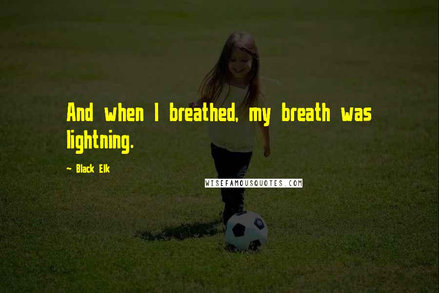 Black Elk Quotes: And when I breathed, my breath was lightning.