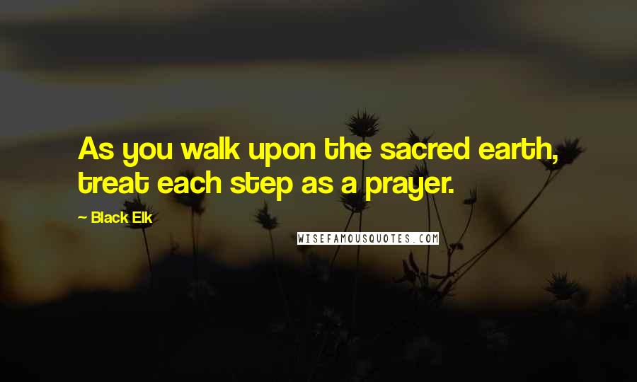 Black Elk Quotes: As you walk upon the sacred earth, treat each step as a prayer.