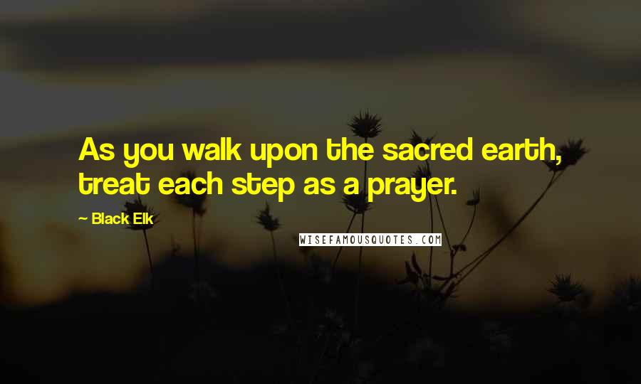 Black Elk Quotes: As you walk upon the sacred earth, treat each step as a prayer.