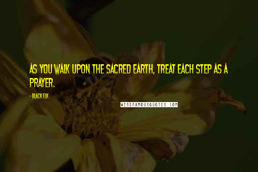 Black Elk Quotes: As you walk upon the sacred earth, treat each step as a prayer.