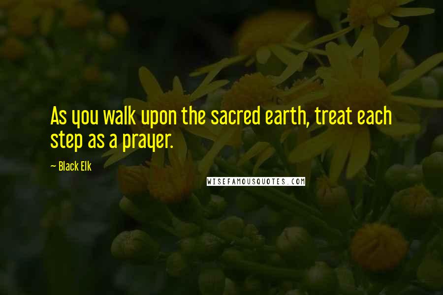 Black Elk Quotes: As you walk upon the sacred earth, treat each step as a prayer.