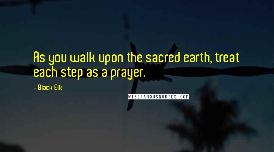 Black Elk Quotes: As you walk upon the sacred earth, treat each step as a prayer.