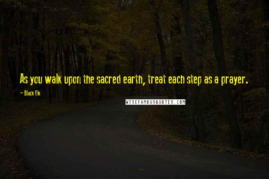 Black Elk Quotes: As you walk upon the sacred earth, treat each step as a prayer.