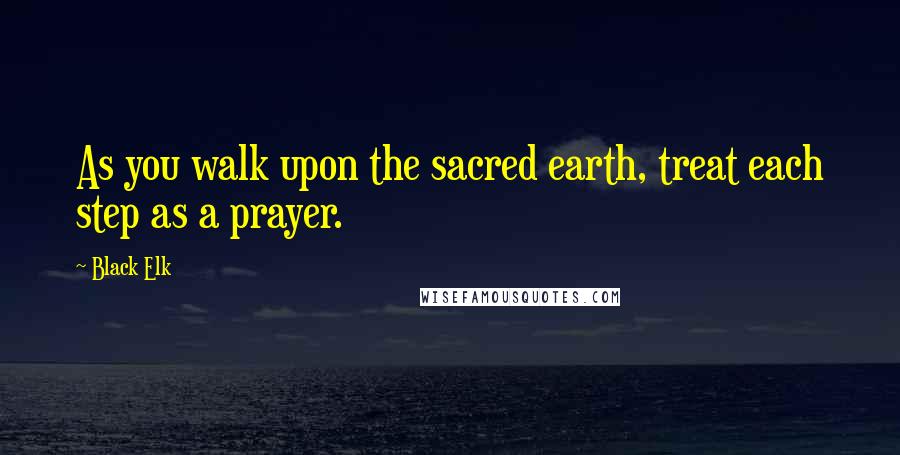 Black Elk Quotes: As you walk upon the sacred earth, treat each step as a prayer.