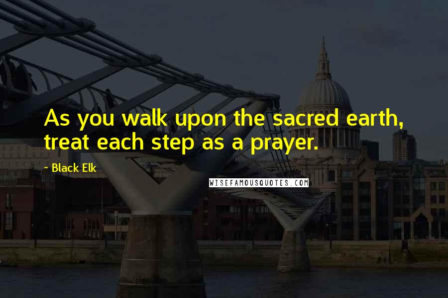 Black Elk Quotes: As you walk upon the sacred earth, treat each step as a prayer.